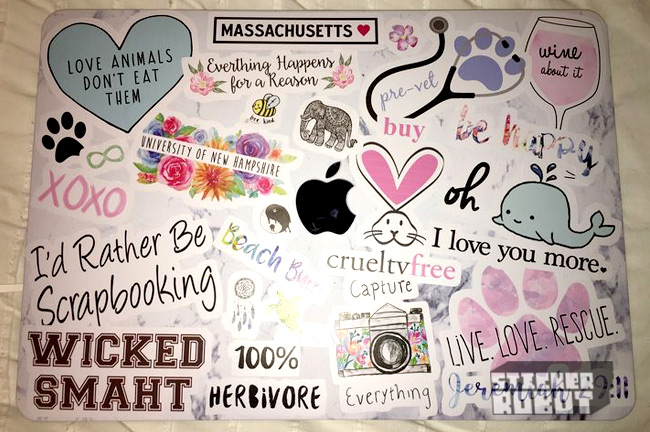 Laptop case 2025 with stickers